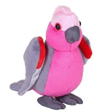 NEW GALAH COCKATOO WILD