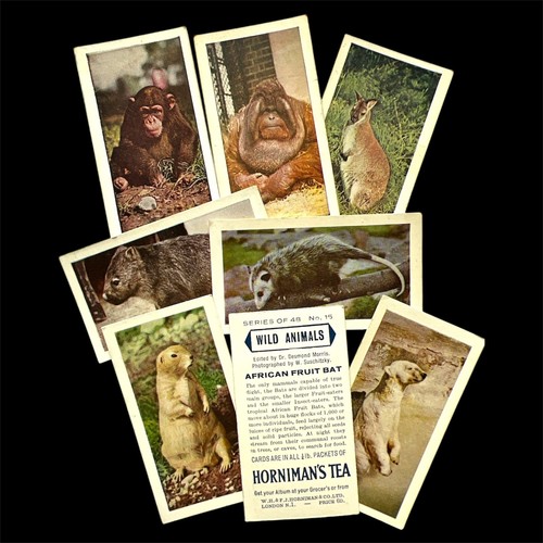 Horniman tea trade card wild - trade,