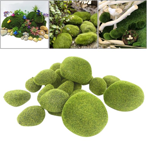 Pcs bryophytes foam moss - pcs,