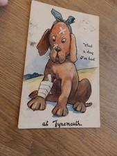 Novelty Postcard  TYNEMOUTH Dog with bandages Northumberland