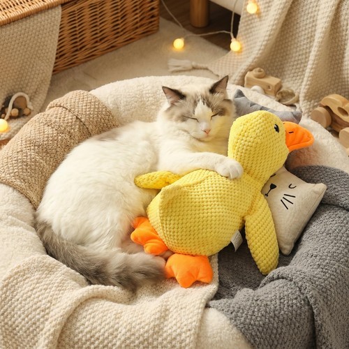 Squeaky duck dog - duck,