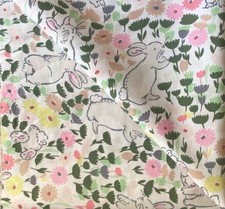 Bunny meadow rabbits - bunny,