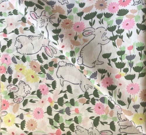 Bunny meadow rabbits cath - rabbits,