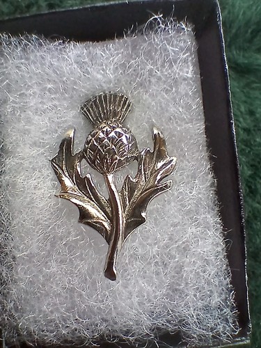 Vintage scottish thistle - ,