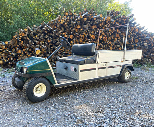 Club car carryall - vi, motorised