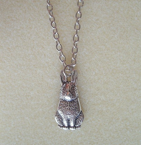 Hare rabbit animal - hare,