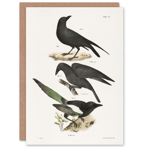 James ellsworth kay raven - james,