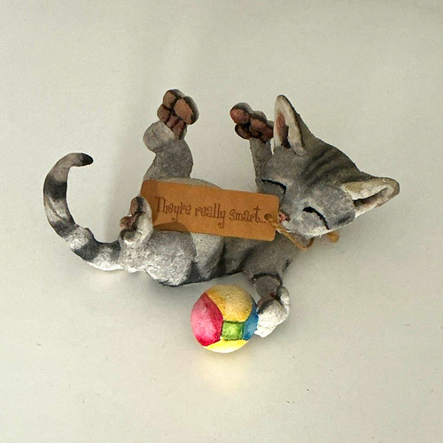 Breed apart cat - apart,