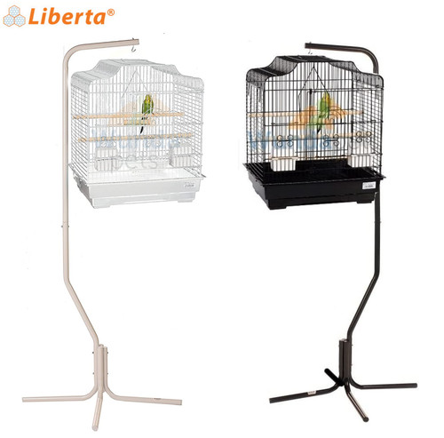 Liberta siam budgie - liberta,