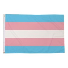 Transgender Trans Flag Table Hand Flags Bunting Party Windsock Scrunchie Display