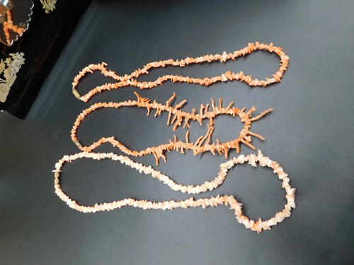Natural branch coral - branch,