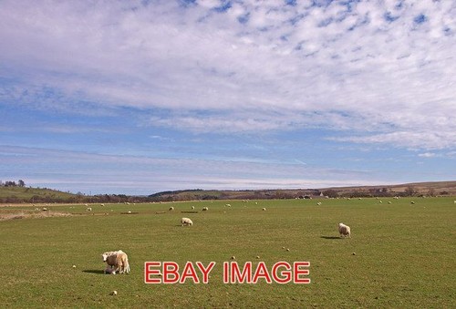 Photo grazing land near - photo,