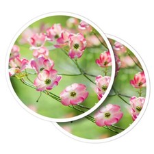2x Vinyl Stickers Pink Blossom Dogwood Tree Nature #51685