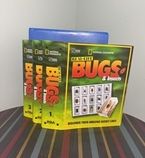 Real Life Bugs & Insects
