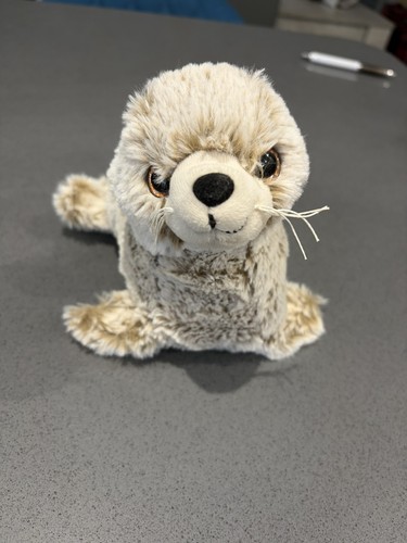 Cute grey seal pup ravensden - grey,