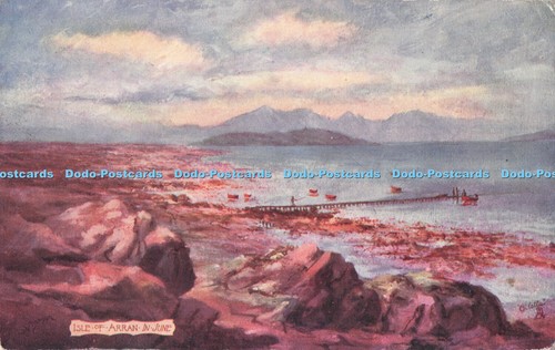 R713109 isle arran june - arran,