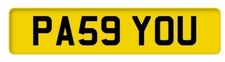 Pass Driving Test ADI School Number Plate PA59 YOU - Instructor L Learner SOM