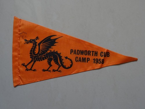 Padworth cub camp - camp, scout