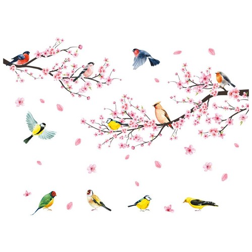 Large cherry blossom branch - cherry,