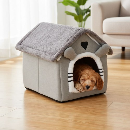 Pet cat kitten - kitten, igloo