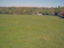Photo A1 Pasture land near