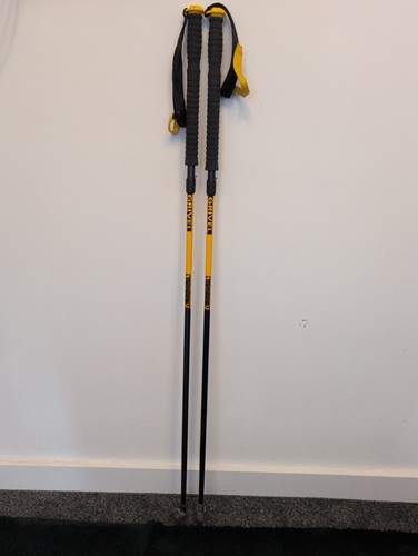 Grivel skiing poles - skiing,