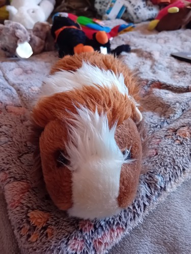 Ark toys guinea - toys,