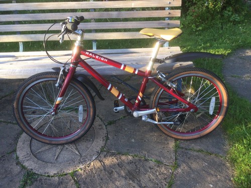 Raleigh pop kids - kids', bike