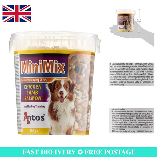 Mini mix puppy training - mini,