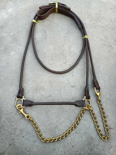 Indian leather comfort - indian, horse