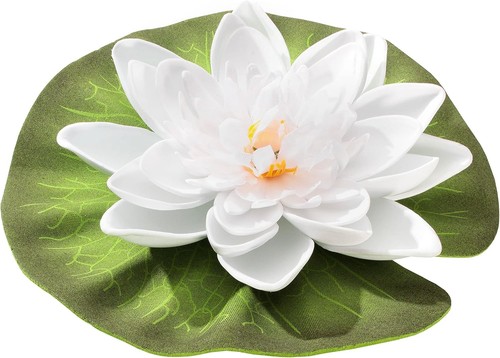 Blagdon floating lily - floating, 5
