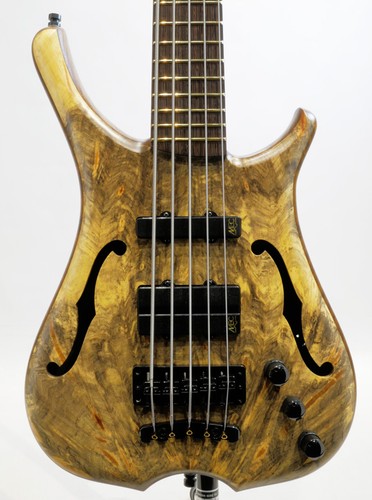 Warwick custom shop - warwick, infinity