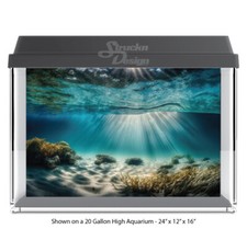 Underwater Seaweed Reef