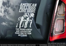 AMERICAN BULLDOG Car Sticker