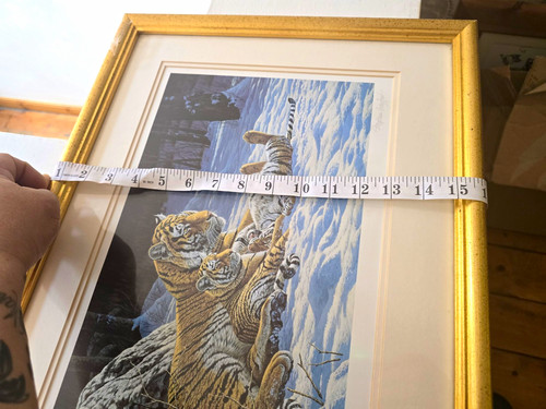 Framed signed limited edition - framed,