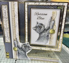 7x7 birthday card - birthday,