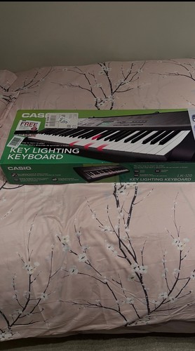 Casio 120 key lighting - casio, lk-120