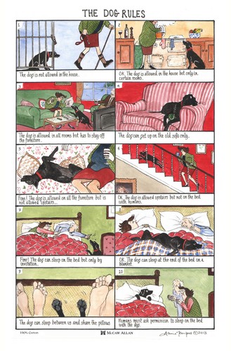 The dog rules - rules, towel