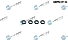 SEAL RING, INJECTOR DRM03113S