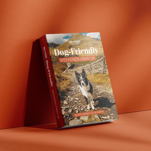 Dog friendly weekends away - dog,