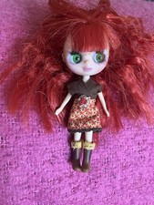 Littlest Pet Shop Blythe Doll