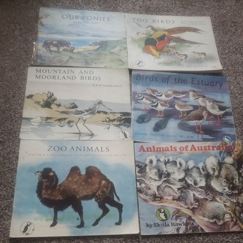 Lot vintage puffin picture - 6,