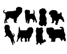 12 DOG  ASSORTED A - C BREEDS TOPPERS MIX & MATCH 160gsm cardstock