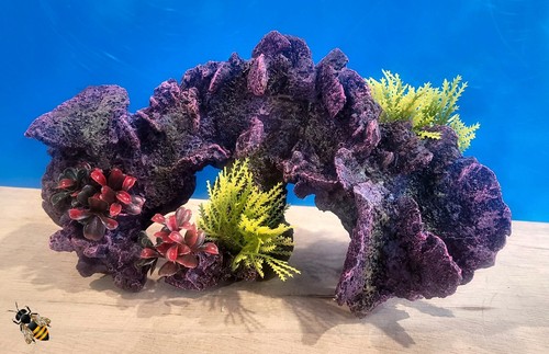 Aquarium ornament coral - coral, reef