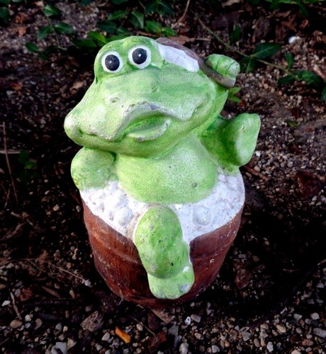 Latex frog mold plaster