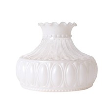 Aladdin Oil Lamp Glass Shade