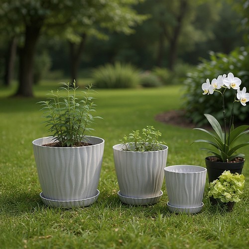 Set plant flower - 3,
