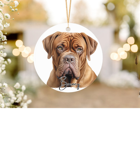 Dogue bordeaux dog - dogue,