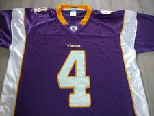 Minnesota Vikings NFL On Field