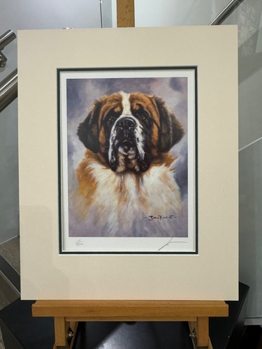 John trickett saint bernard - john,